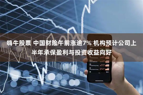 嗨牛股票 中国财险午前涨逾7% 机构预计公司上半年承保盈利与投资收益向好