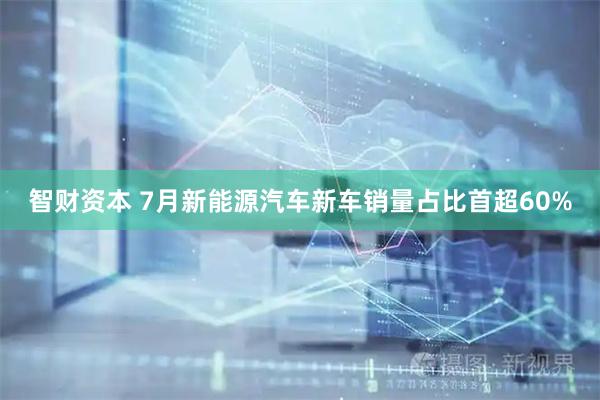 智财资本 7月新能源汽车新车销量占比首超60%